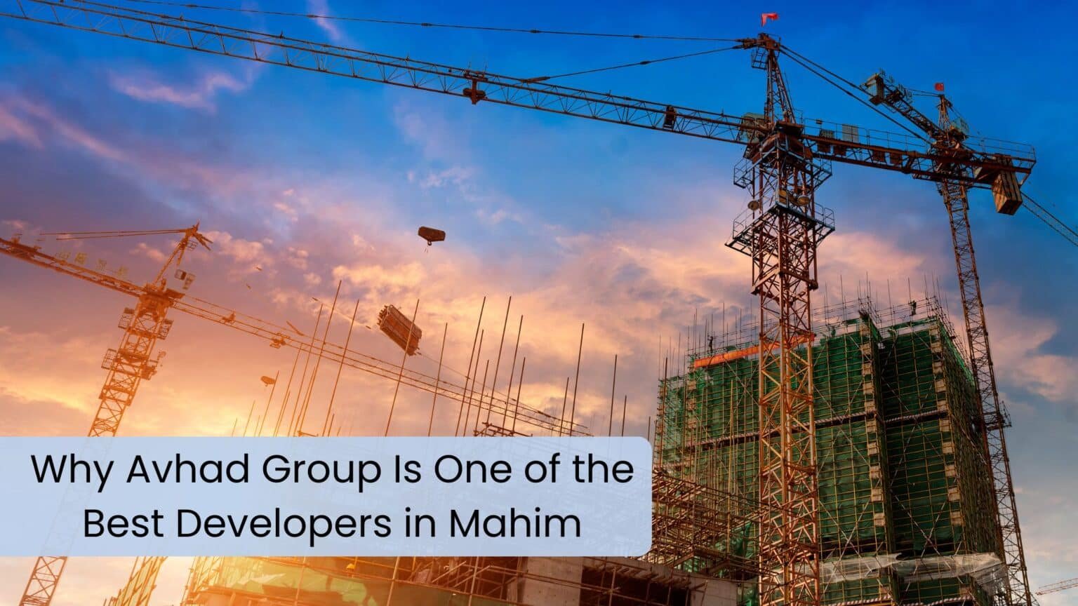 Why Avhad Group Is One of the Best Developers in Mahim